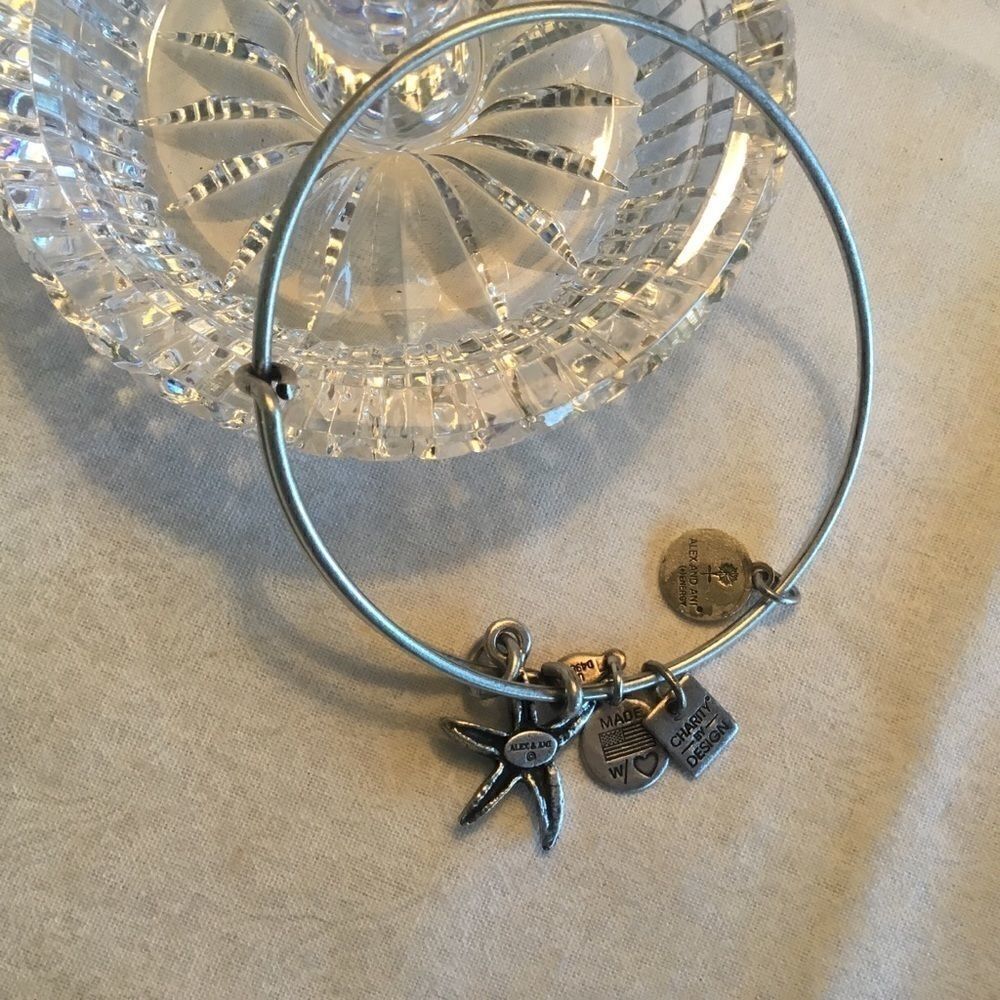 Alex & Ani Silvertone Bangle - Picture 5 of 7